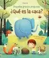 QUE ES LA CACA