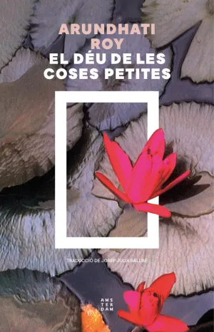 EL DÉU DE LES COSES PETITES