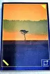 TAMBORES DE AFRICA